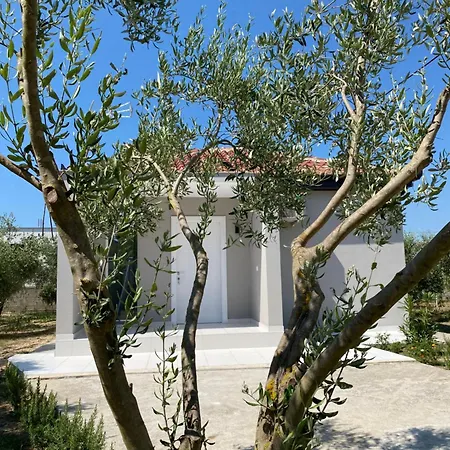 Oliver 펜션 Hamallaj